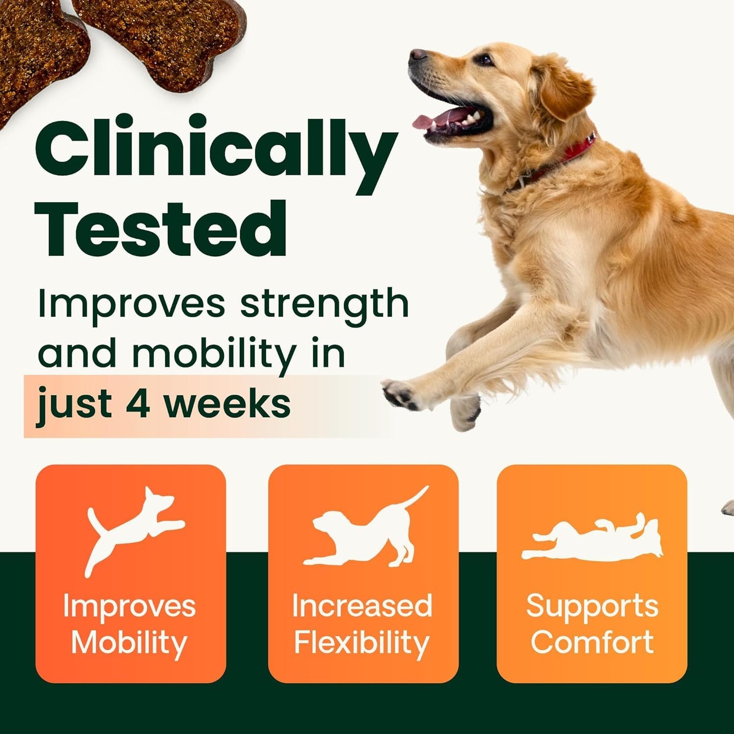 VetriScience Ultimate Strength Hip & Joint Supplement for Dogs, GlycoFlex Plus – MSM, Chondroitin & Green-Lipped Mussel Chews for Mobility, Flexibility, Comfort & Support, Peanut Butter Flavor 120 Cnt - dailyvitalstore