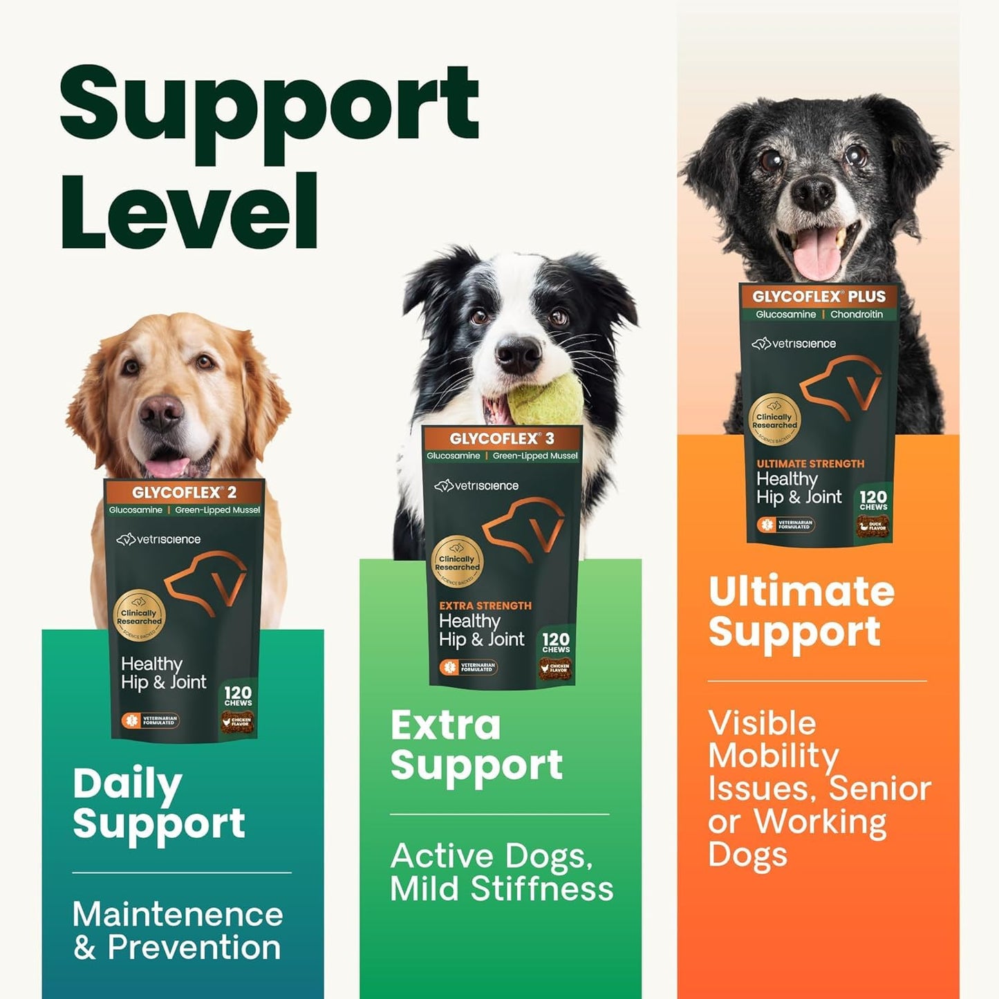 VetriScience Ultimate Strength Hip & Joint Supplement for Dogs, GlycoFlex Plus – MSM, Chondroitin & Green-Lipped Mussel Chews for Mobility, Flexibility, Comfort & Support, Peanut Butter Flavor 120 Cnt - dailyvitalstore