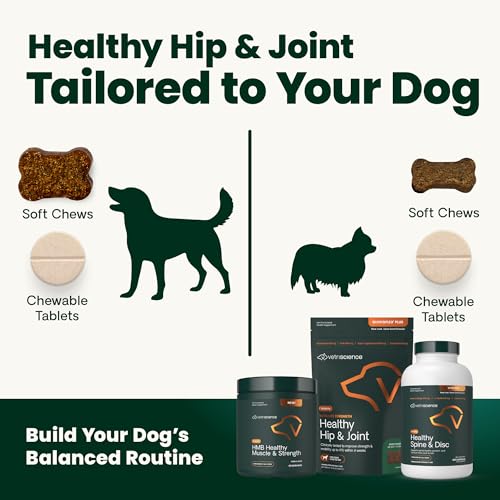 VetriScience Ultimate Strength Hip & Joint Supplement for Dogs, GlycoFlex Plus – MSM, Chondroitin & Green-Lipped Mussel Chews for Mobility, Flexibility, Comfort & Support, Peanut Butter Flavor 120 Cnt - dailyvitalstore