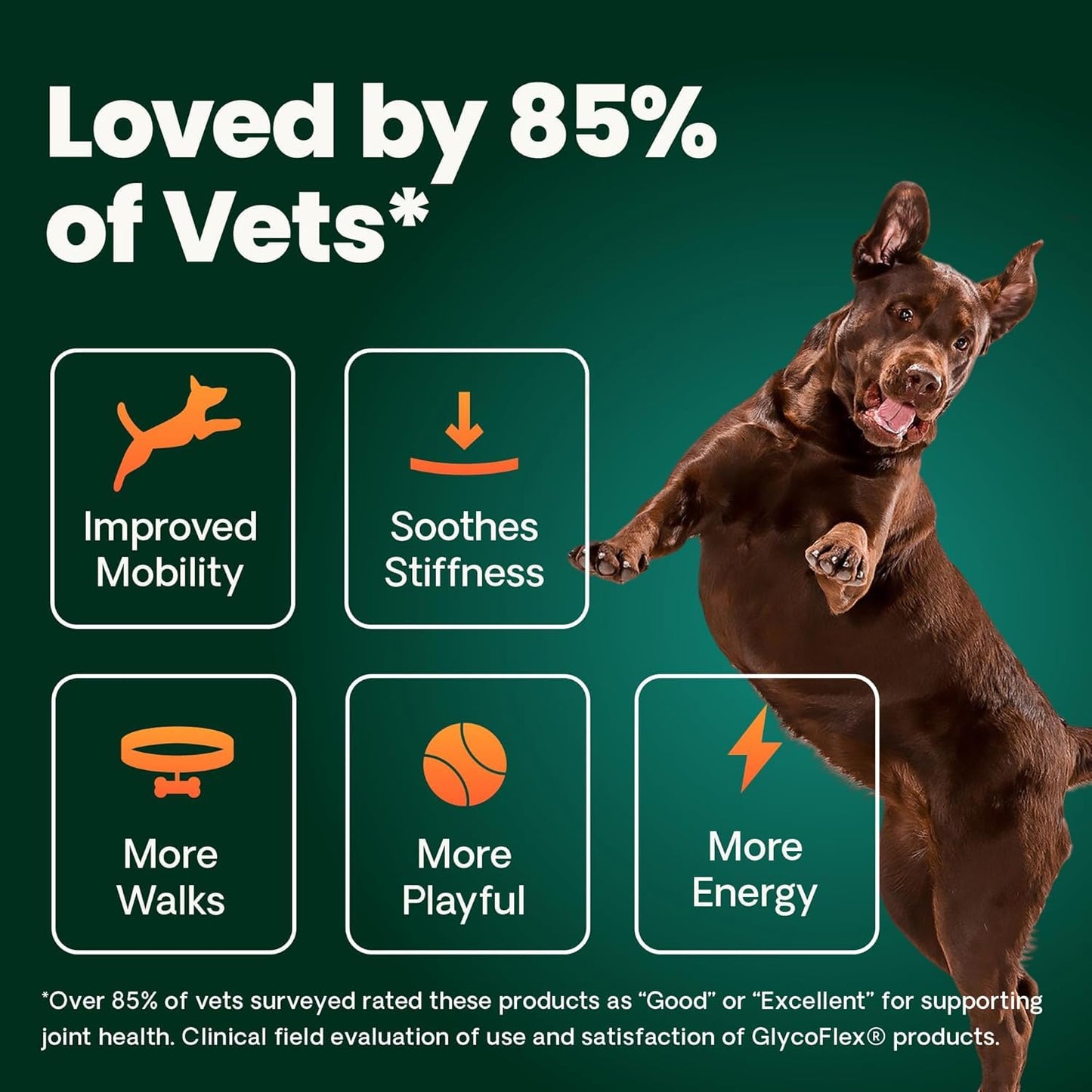 VetriScience Ultimate Strength Hip & Joint Supplement for Dogs, GlycoFlex Plus – MSM, Chondroitin & Green-Lipped Mussel Chews for Mobility, Flexibility, Comfort & Support, Peanut Butter Flavor 120 Cnt - dailyvitalstore