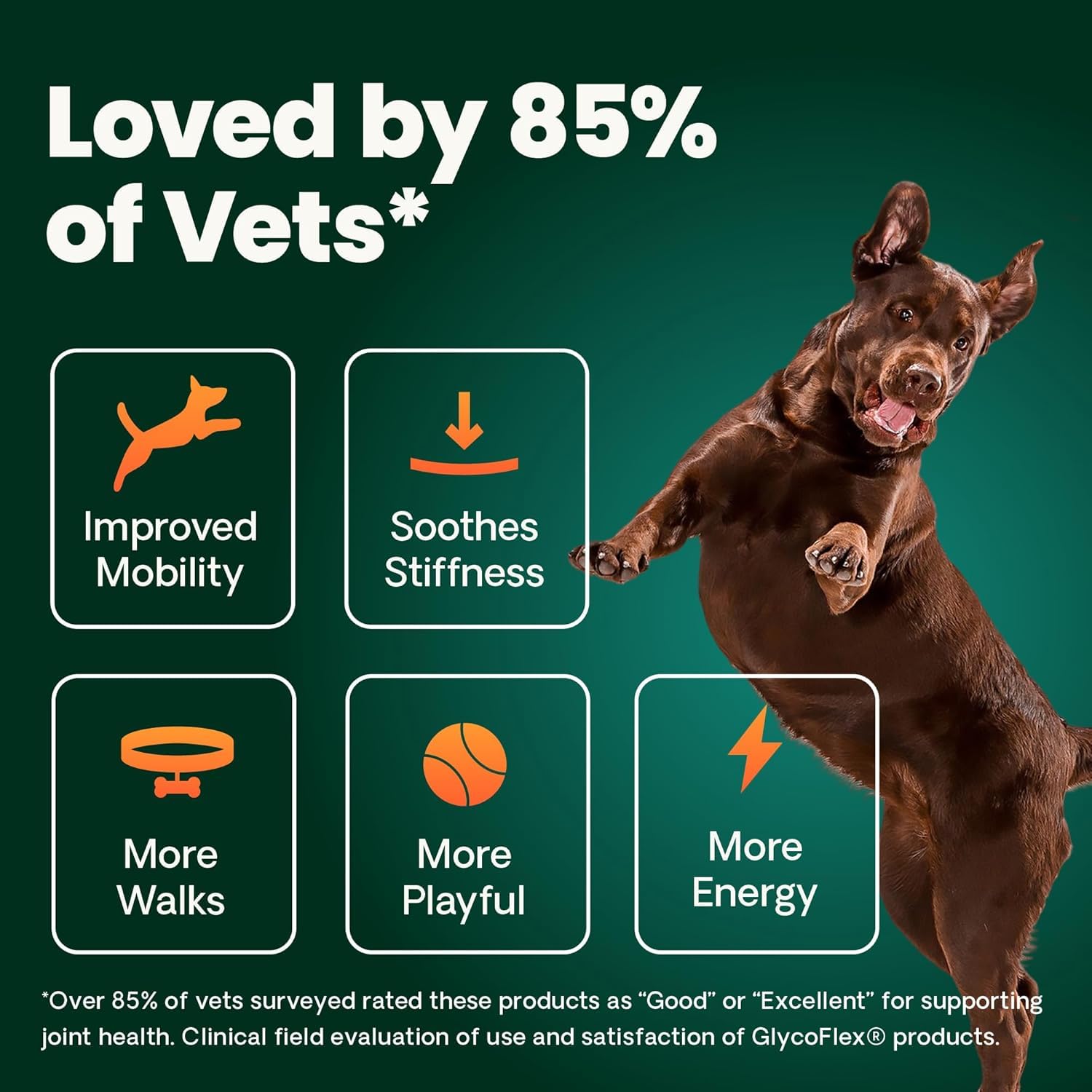 VetriScience Ultimate Strength Hip & Joint Supplement for Dogs, GlycoFlex Plus – MSM, Chondroitin & Green-Lipped Mussel Chews for Mobility, Flexibility, Comfort & Support, Peanut Butter Flavor 120 Cnt - dailyvitalstore