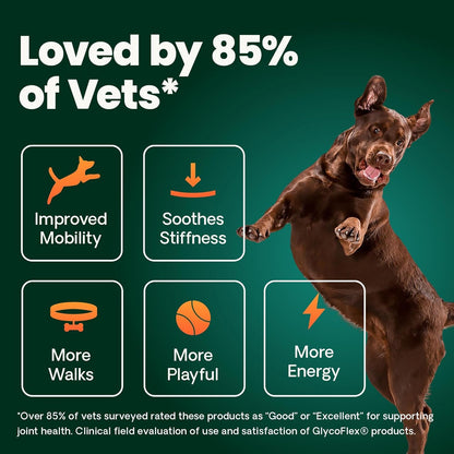 VetriScience Ultimate Strength Hip & Joint Supplement for Dogs, GlycoFlex Plus – MSM, Chondroitin & Green-Lipped Mussel Chews for Mobility, Flexibility, Comfort & Support, Peanut Butter Flavor 120 Cnt - dailyvitalstore