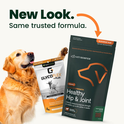 VetriScience Ultimate Strength Hip & Joint Supplement for Dogs, GlycoFlex Plus – MSM, Chondroitin & Green-Lipped Mussel Chews for Mobility, Flexibility, Comfort & Support, Peanut Butter Flavor 120 Cnt - dailyvitalstore
