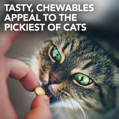 Vet's Best Cat Urinary Supplement, Urinary Tract Support Chewable for Cats, Supports A Healthy Urinary Tract in Cats, 60 Chewable Tablets - dailyvitalstore