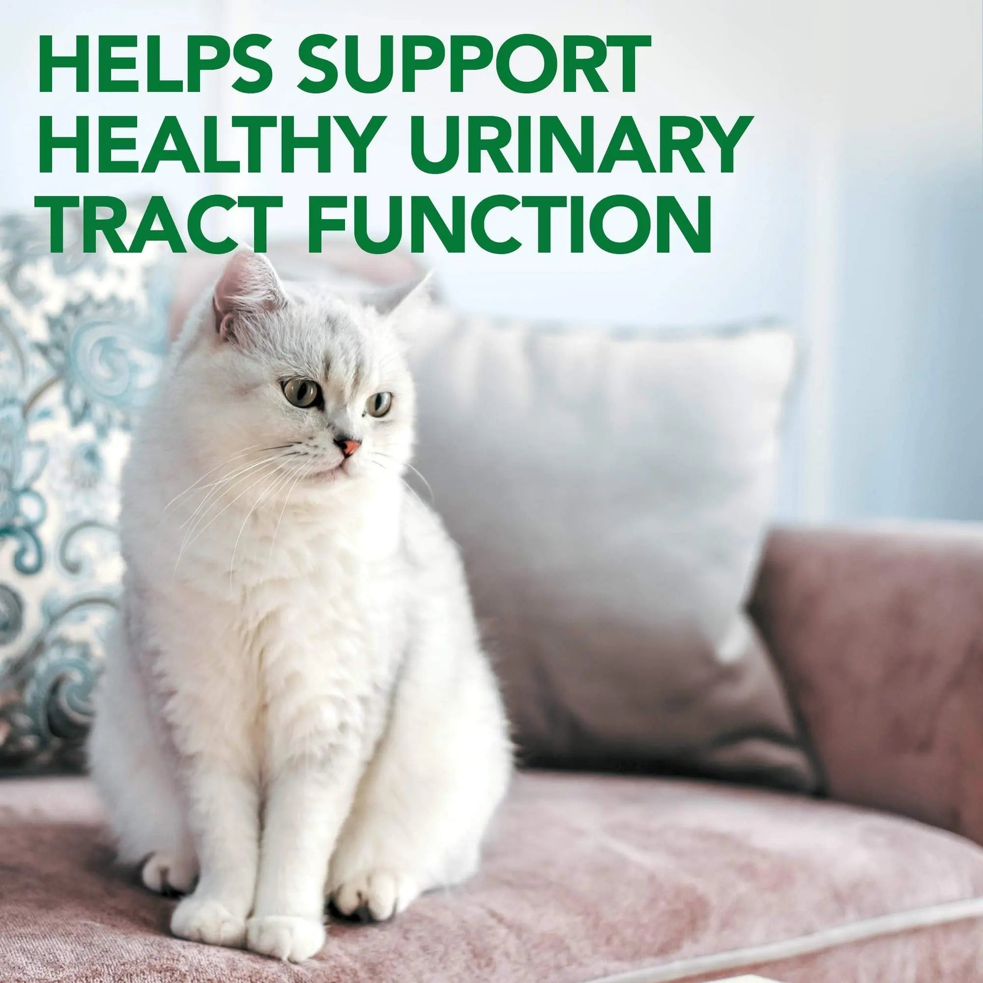 Vet's Best Cat Urinary Supplement, Urinary Tract Support Chewable for Cats, Supports A Healthy Urinary Tract in Cats, 60 Chewable Tablets - dailyvitalstore