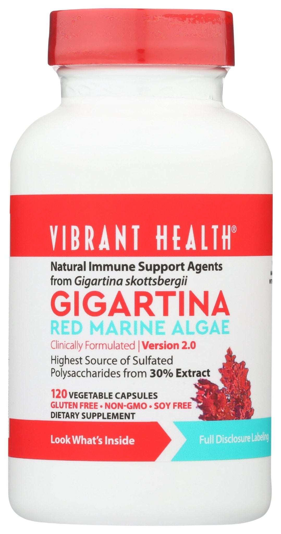 Vibrant Health, Gigartina Red Marine Algae, Plant-Based Immune Support, 60 Capsules - dailyvitalstore