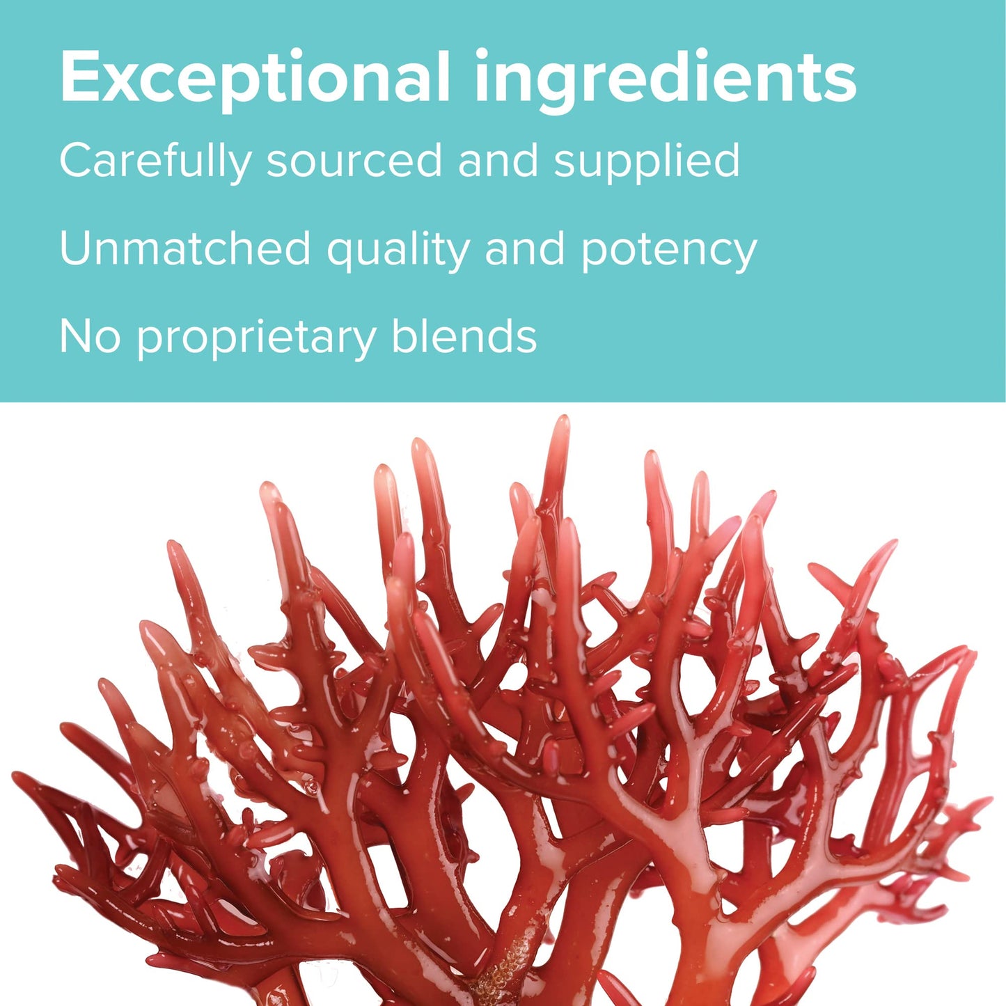 Vibrant Health, Gigartina Red Marine Algae, Plant-Based Immune Support, 60 Capsules - dailyvitalstore