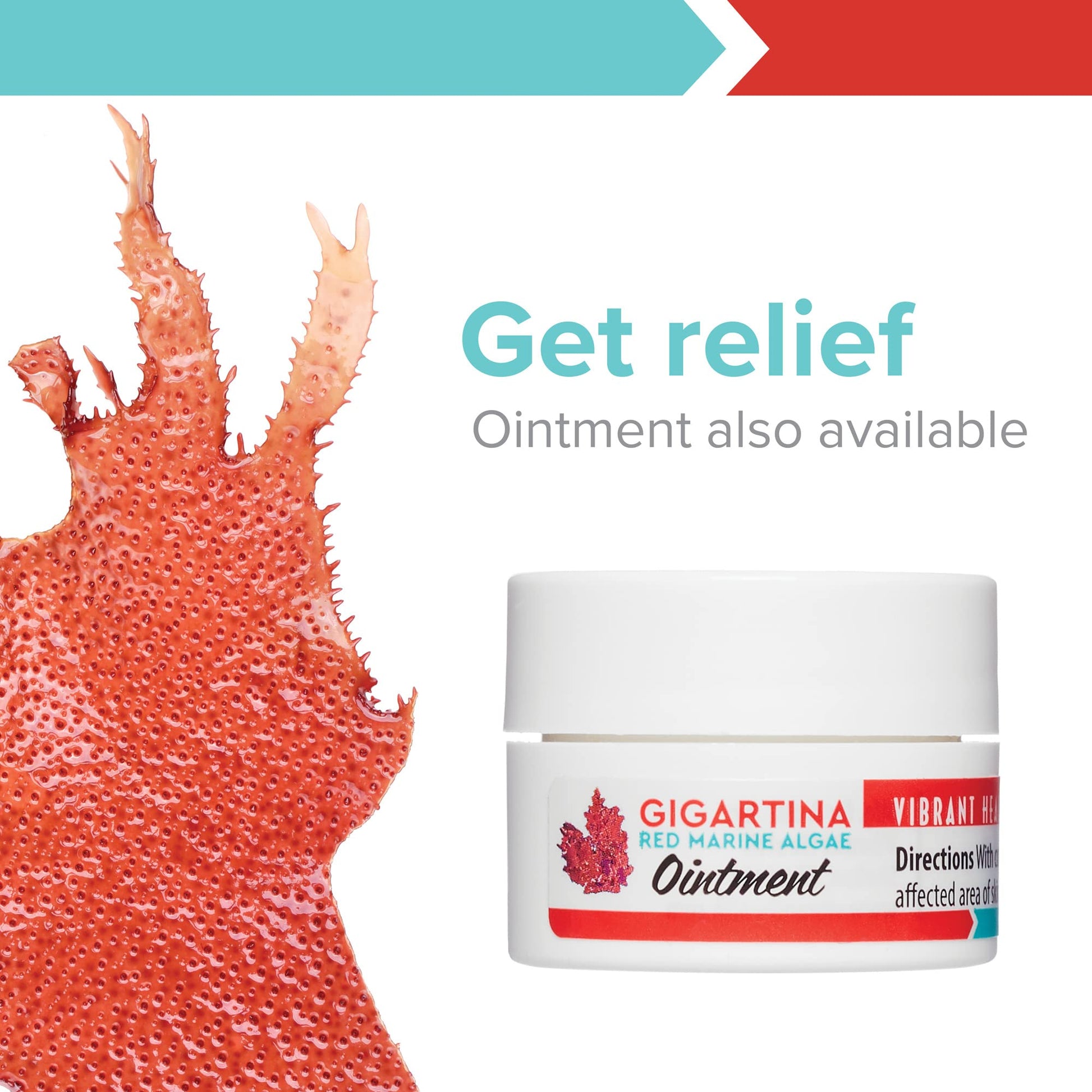 Vibrant Health, Gigartina Red Marine Algae, Plant-Based Immune Support, 60 Capsules - dailyvitalstore