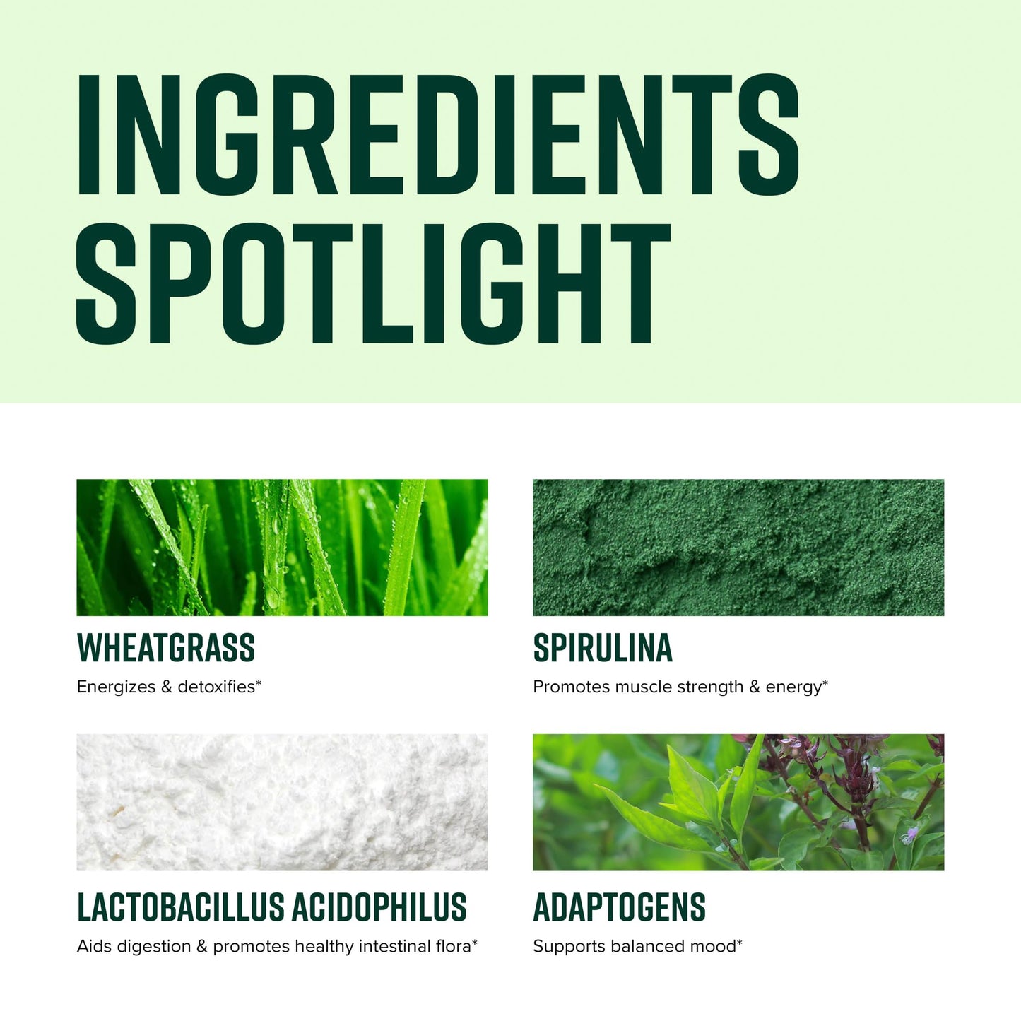 Vibrant Health, Green Vibrance, Vegan Superfood Powder, 15 Servings - dailyvitalstore