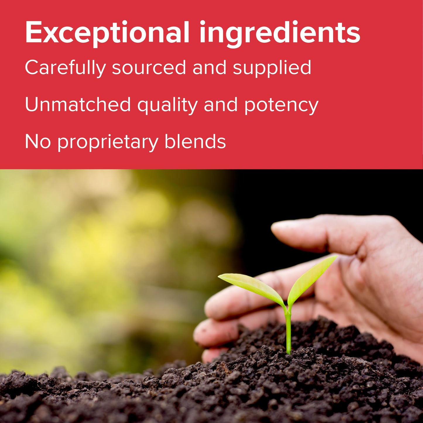 Vibrant Health - Super Natural Boron, Support for Healthy Joints, Hormone Levels, and Connective Tissue with Calcium Fructoborate and Broccoli Powder, Gluten Free, Vegetarian, Non-GMO, 60 Count - dailyvitalstore