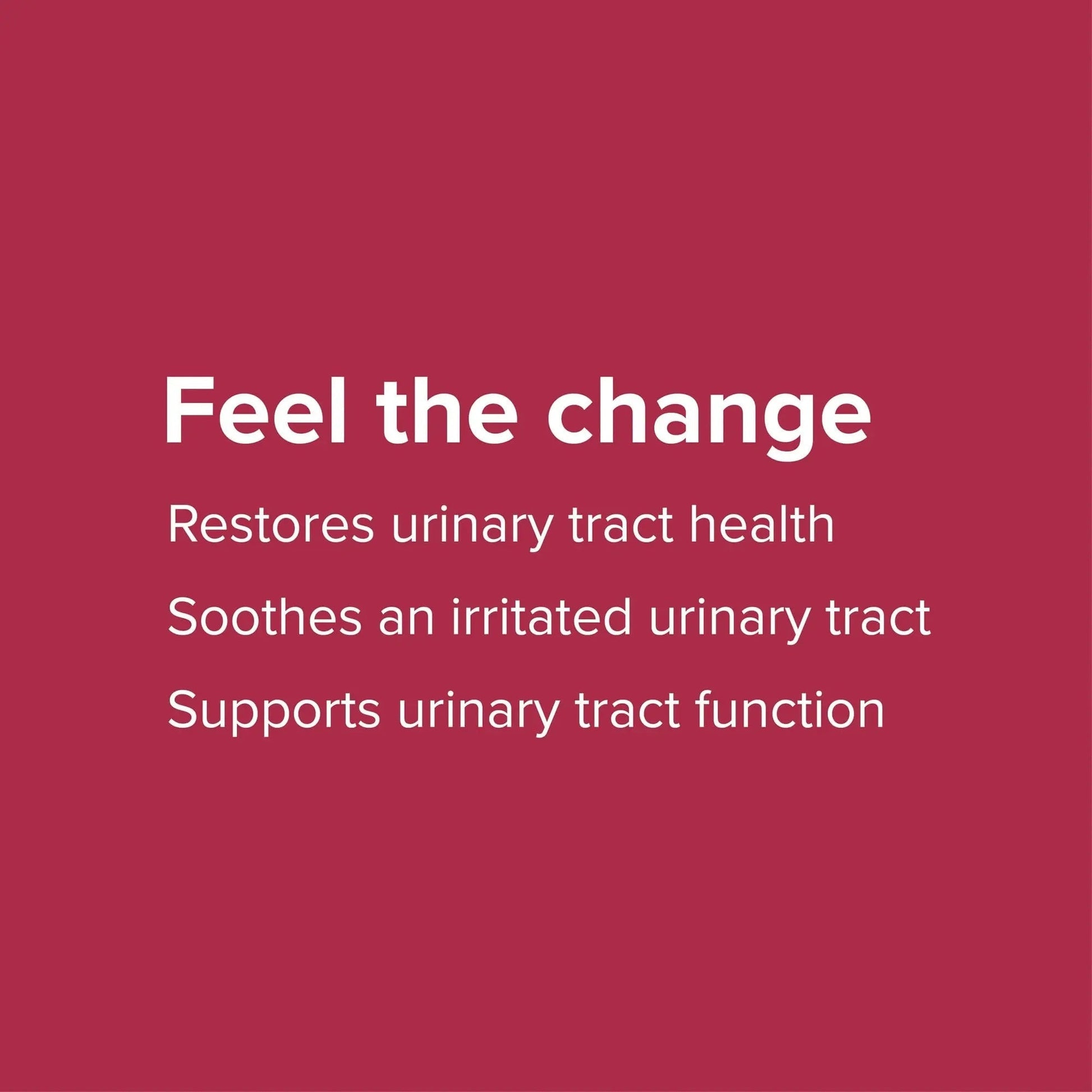 Vibrant Health, U.T. Vibrance Powder, Crisis Intervention for Urinary Tract Health, 10 Servings - dailyvitalstore