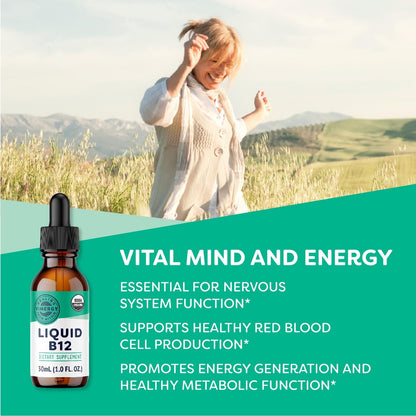 Vimergy USDA Organic Liquid Vitamin B12 Supplement 2500 mcg, Methylcobalamin & Adenosylcobalamin Fast-Absorbing Energy Support, Vegan, Non-GMO B12 Vitamins - dailyvitalstore