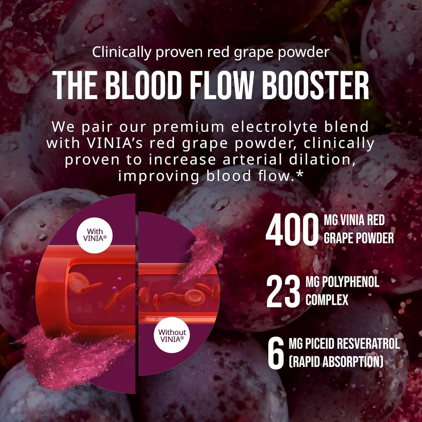 VINIA Resveratrol Electrolyte Hydration Powder Mix | Boost Blood Flow & Circulation | Sea Salt, Coconut Water Potassium, Magnesium, Informed Sport Certified - dailyvitalstore