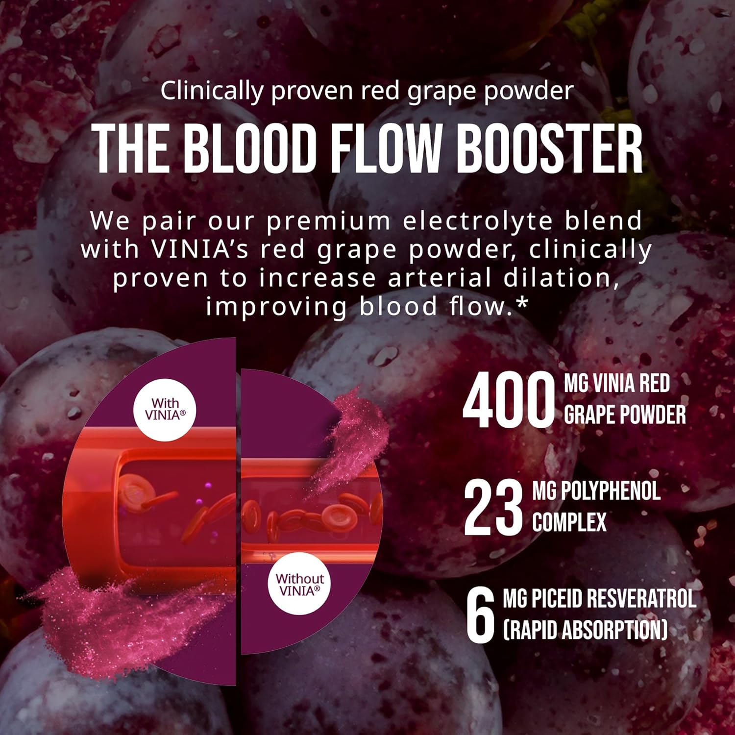 VINIA Resveratrol Electrolyte Hydration Powder Mix | Boost Blood Flow & Circulation | Sea Salt, Coconut Water Potassium, Magnesium, Informed Sport Certified - dailyvitalstore