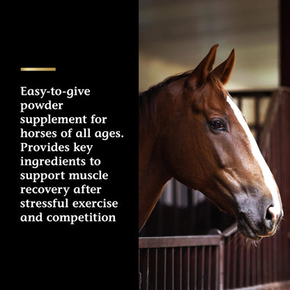 Vita Flex Pro Recovery by the Makers of Lactanase, Post Performance Horse Supplements 40 g, Show Safe Muscle Recovery Supplements, Amino Acids for Horses, Strength & Joint Health - dailyvitalstore