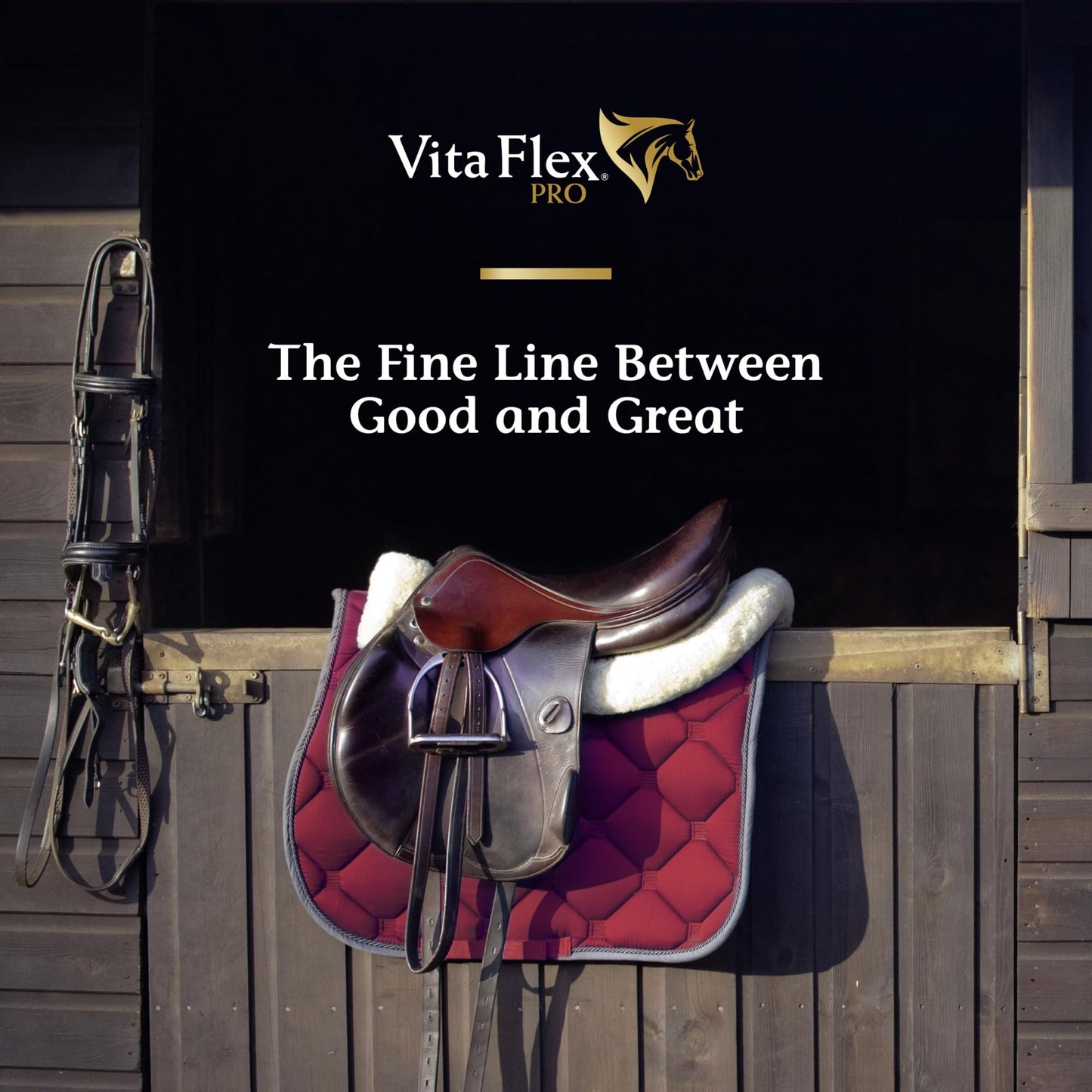 Vita Flex Pro Recovery by the Makers of Lactanase, Post Performance Horse Supplements 40 g, Show Safe Muscle Recovery Supplements, Amino Acids for Horses, Strength & Joint Health - dailyvitalstore