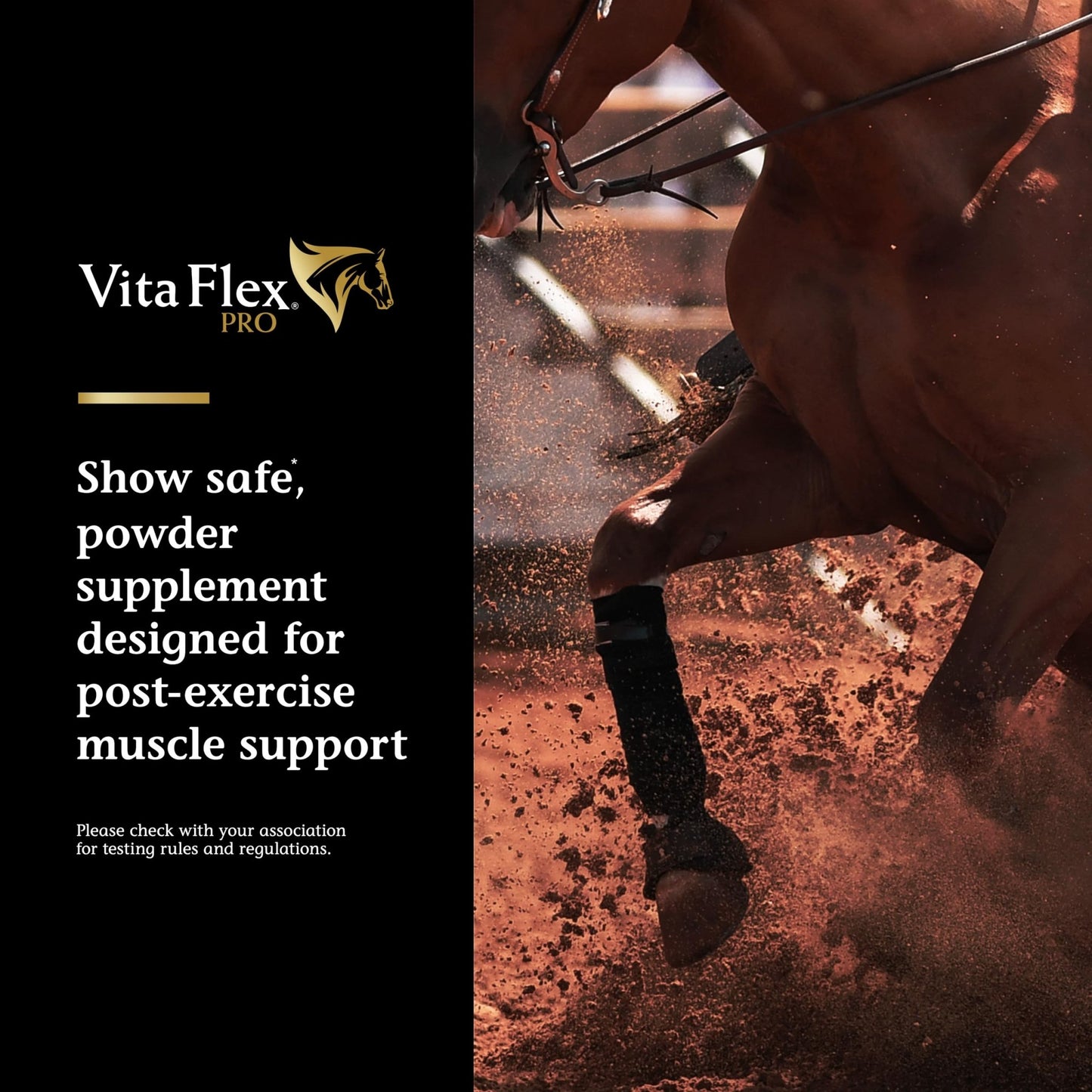 Vita Flex Pro Recovery by the Makers of Lactanase, Post Performance Horse Supplements 40 g, Show Safe Muscle Recovery Supplements, Amino Acids for Horses, Strength & Joint Health - dailyvitalstore