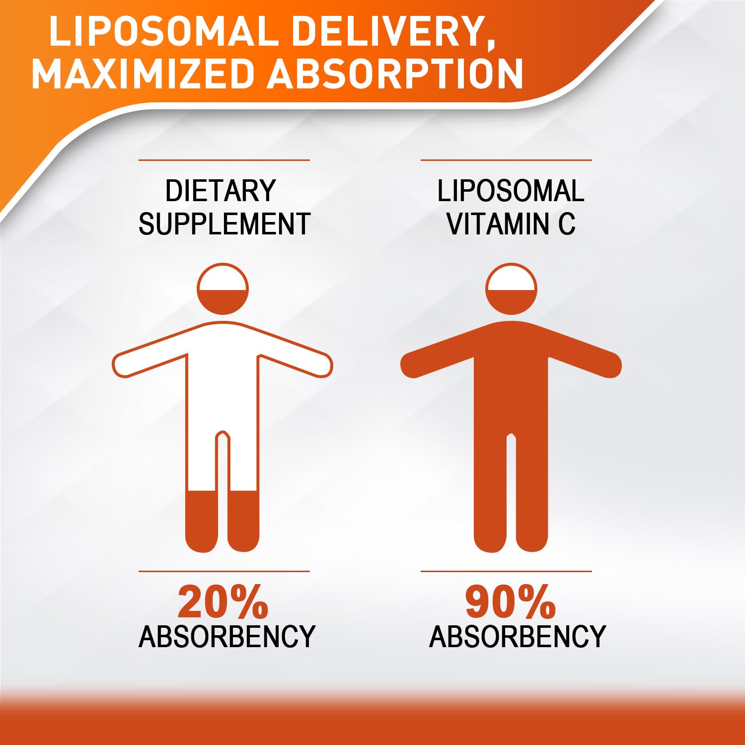 Vitablosom Liposomal Vitamin C 2000mg Liquid for Adults, High Absorption VIT C, Maximize Vitamin C, Immune System & Antioxidant Support, 60ML (2 Bottle) - dailyvitalstore