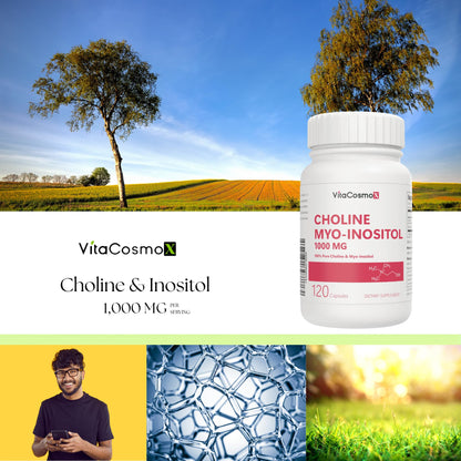 VitaCosmoX Choline and Myo-Inositol Supplement, 1000 mg Each, 120 Veggie Capsules 100% Vegetarian, Non-GMO & Gluten Free - dailyvitalstore