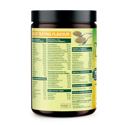 Vital All-in-One Daily Powdered Supplement - Natural Greens Superfood Powder for Energy & Health, Super Greens Powder Drink Mix with Probiotic & Antioxidant Support - Lemon & Ginger, 4.23 oz (120 g) - dailyvitalstore