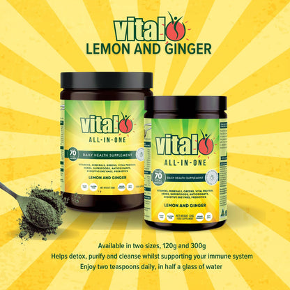 Vital All-in-One Daily Powdered Supplement - Natural Greens Superfood Powder for Energy & Health, Super Greens Powder Drink Mix with Probiotic & Antioxidant Support - Lemon & Ginger, 4.23 oz (120 g) - dailyvitalstore