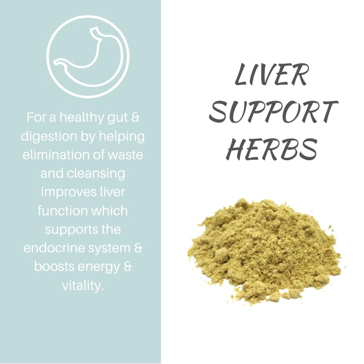 Vital All-in-One Daily Powdered Supplement - Natural Greens Superfood Powder for Energy & Health, Super Greens Powder Drink Mix with Probiotic & Antioxidant Support - Lemon & Ginger, 4.23 oz (120 g) - dailyvitalstore