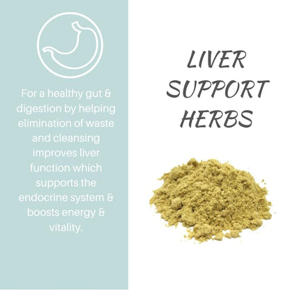 Vital All-in-One Daily Powdered Supplement - Natural Greens Superfood Powder for Energy & Health, Super Greens Powder Drink Mix with Probiotic & Antioxidant Support - Lemon & Ginger, 4.23 oz (120 g) - dailyvitalstore