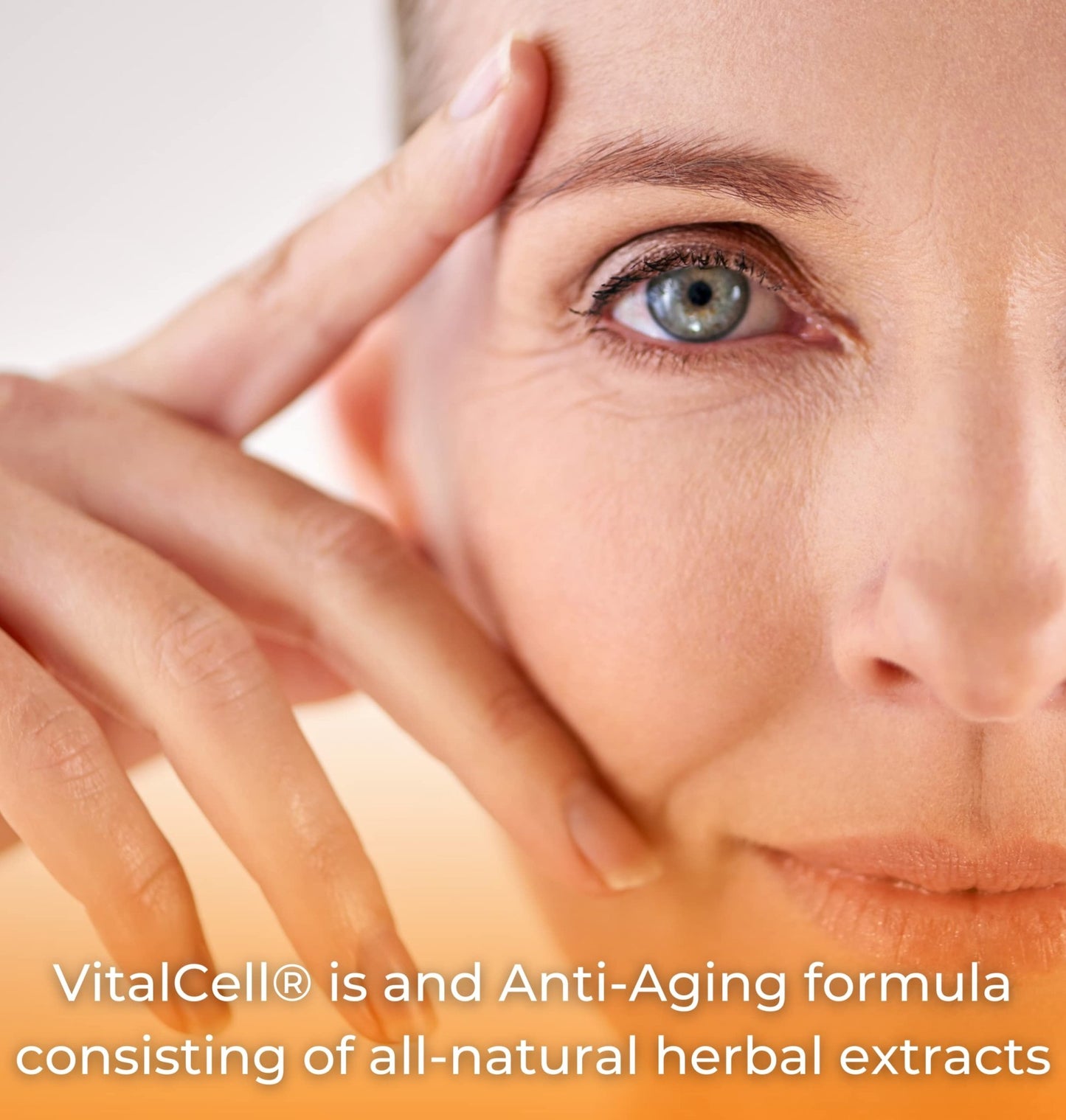 Vital Cell Natural Anti-Aging Supplement for Men and Women, Supporting Circulation and Healthy Organ Function (180 Vegetarian Capsules) - dailyvitalstore
