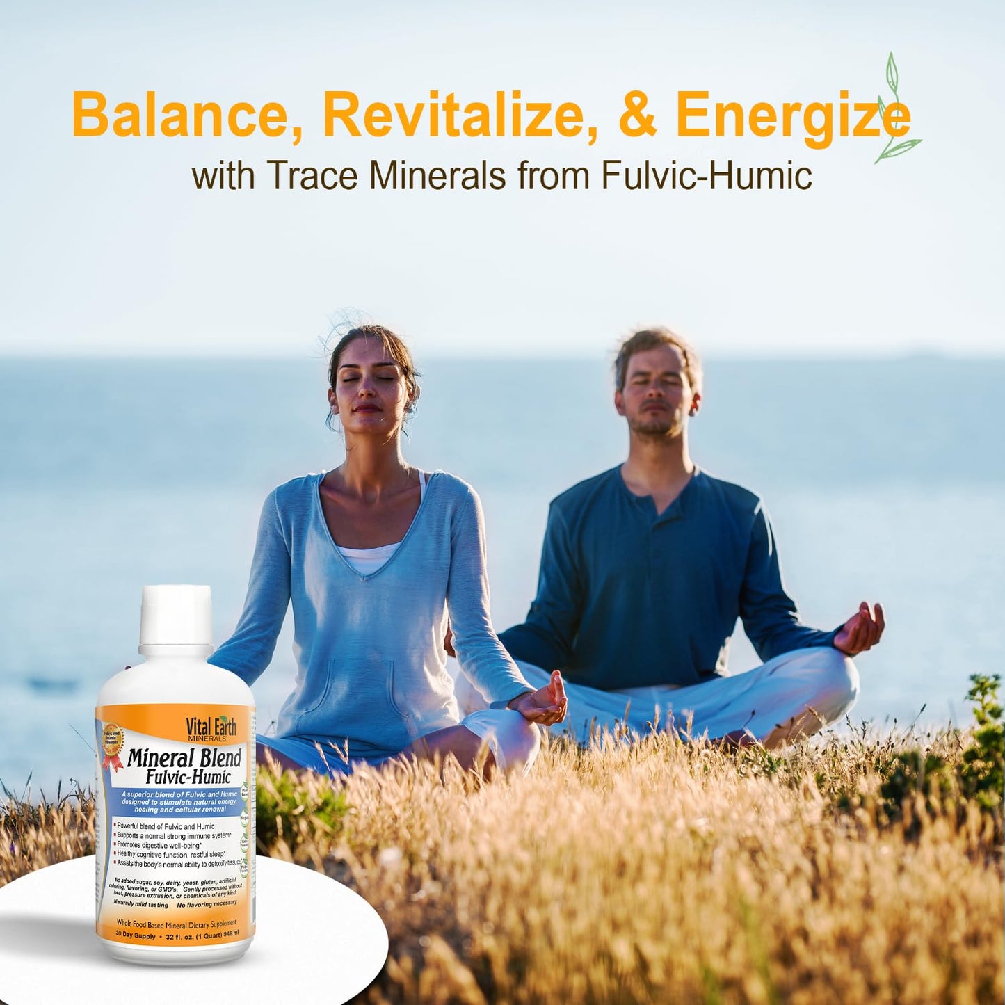Vital Earth Minerals Detox and Wellness Support – Fulvic Humic Mineral Blend with 70+ Trace Minerals + Super Multi, Liquid Multivitamins, MTHFR Enhancement, 32 OZ Ea - dailyvitalstore
