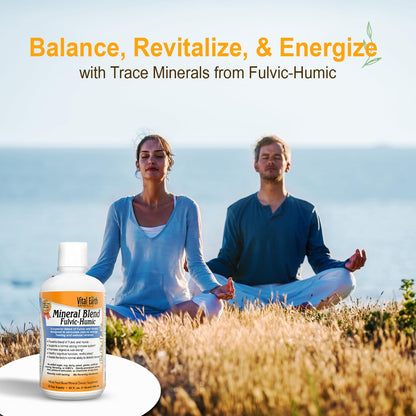 Vital Earth Minerals Detox and Wellness Support – Fulvic Humic Mineral Blend with 70+ Trace Minerals + Super Multi, Liquid Multivitamins, MTHFR Enhancement, 32 OZ Ea - dailyvitalstore