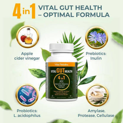 Vital Gut Health 4in1 Formula with Apple Cider Vinegar, Prebiotics & Probiotics, Digestive Enzymes for Strong Immunity Support - dailyvitalstore