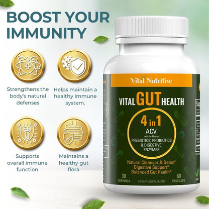 Vital Gut Health 4in1 Formula with Apple Cider Vinegar, Prebiotics & Probiotics, Digestive Enzymes for Strong Immunity Support - dailyvitalstore