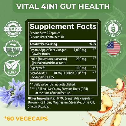 Vital Gut Health 4in1 Formula with Apple Cider Vinegar, Prebiotics & Probiotics, Digestive Enzymes for Strong Immunity Support - dailyvitalstore