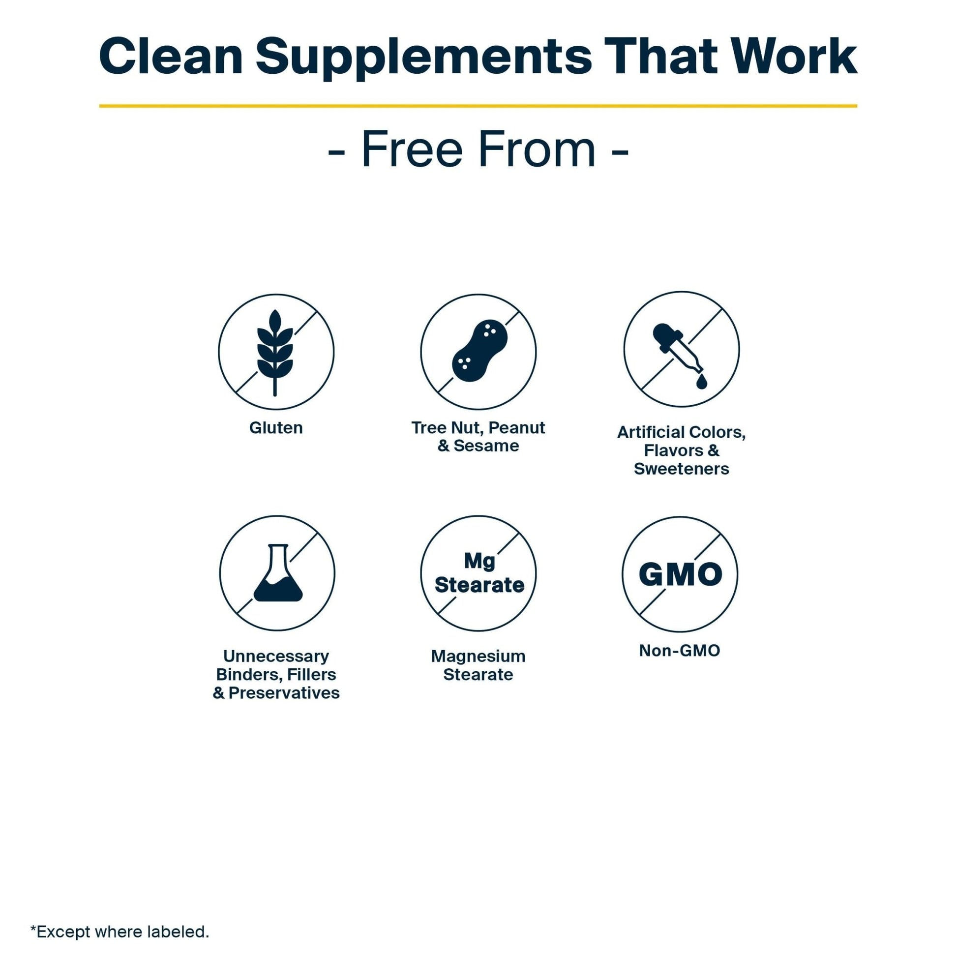 Vital Nutrients GI Repair Powder - Leaky Gut Powder with L Glutamine and Zinc - Digestive Enzyme Supplement to Support Gut Health - dailyvitalstore