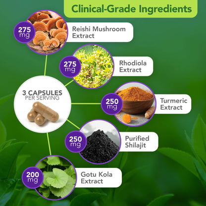 Vital Plan Daily Herbal Supplement by Dr. Bill Rawls – Herbal Immunity Booster for Immune Support, Microbiome Balance & Cell Health — Reishi Mushroom, Turmeric & Rhodiola - dailyvitalstore