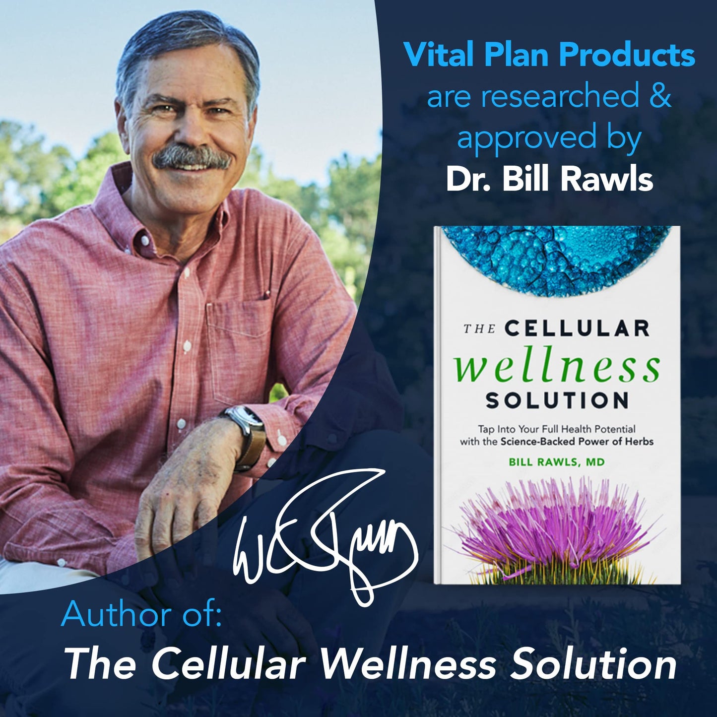 Vital Plan Daily Herbal Supplement by Dr. Bill Rawls – Herbal Immunity Booster for Immune Support, Microbiome Balance & Cell Health — Reishi Mushroom, Turmeric & Rhodiola - dailyvitalstore