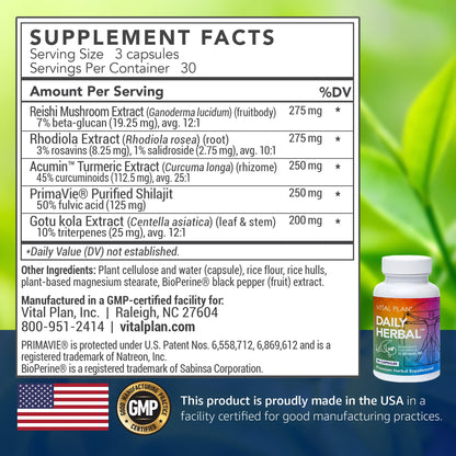 Vital Plan Daily Herbal Supplement by Dr. Bill Rawls – Herbal Immunity Booster for Immune Support, Microbiome Balance & Cell Health — Reishi Mushroom, Turmeric & Rhodiola - dailyvitalstore