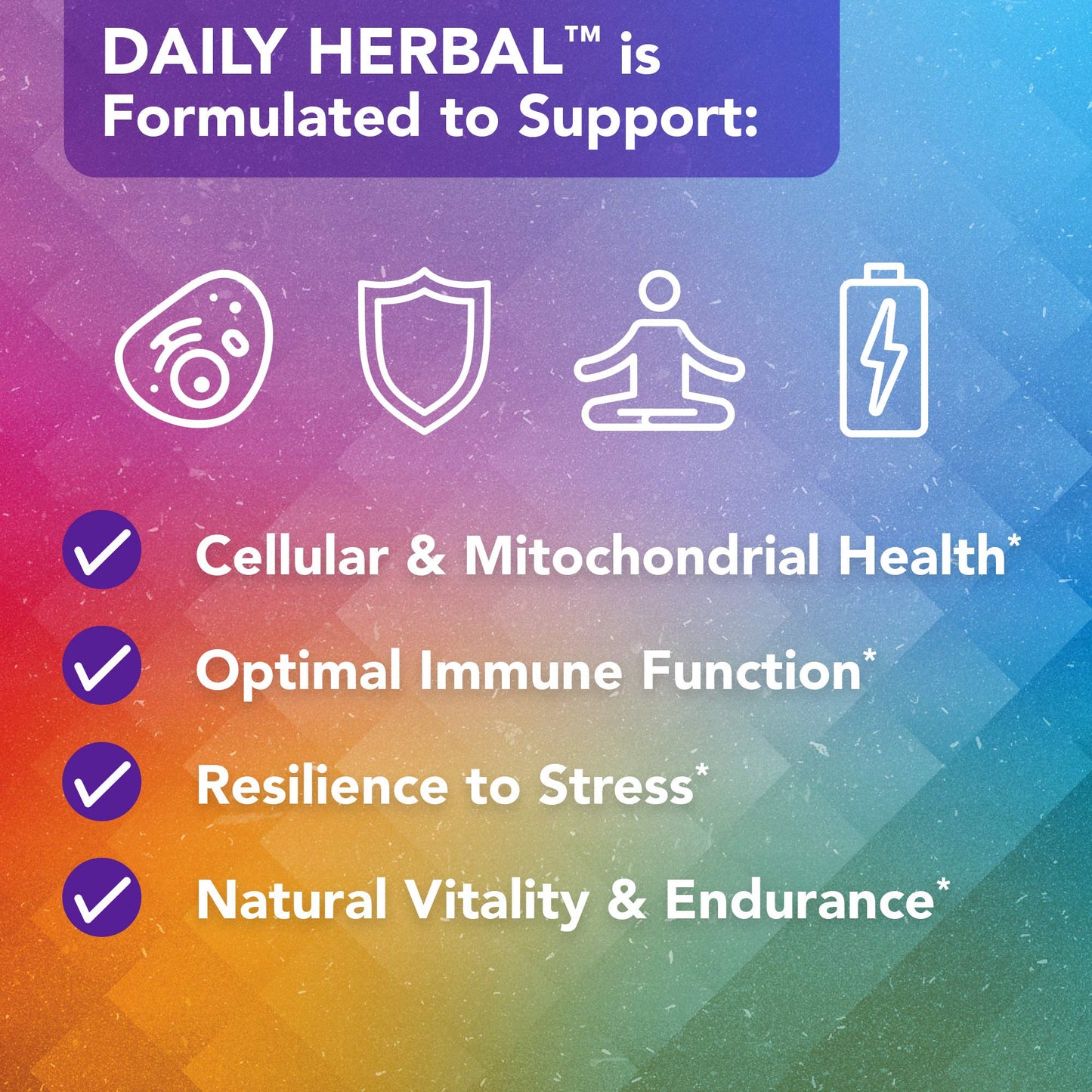 Vital Plan Daily Herbal Supplement by Dr. Bill Rawls – Herbal Immunity Booster for Immune Support, Microbiome Balance & Cell Health — Reishi Mushroom, Turmeric & Rhodiola - dailyvitalstore