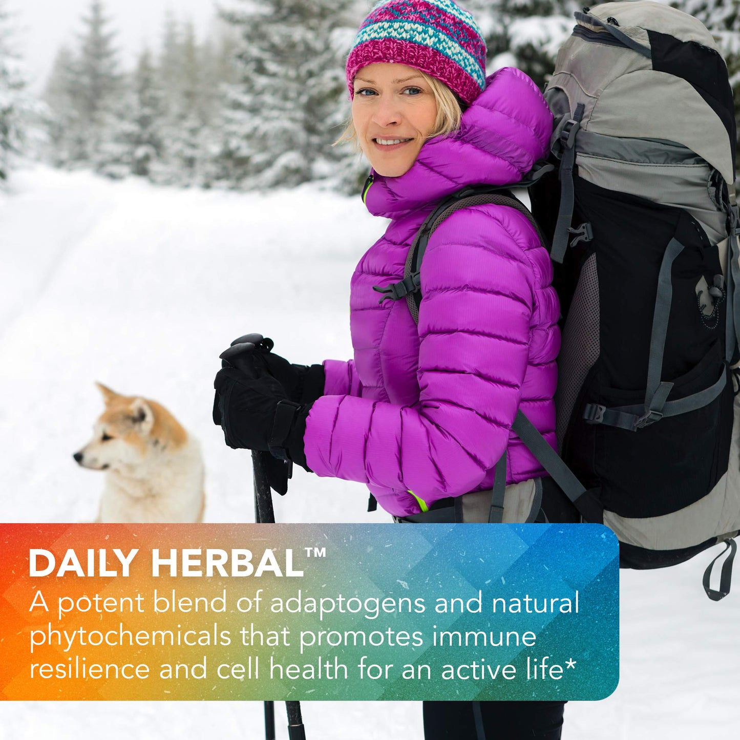 Vital Plan Daily Herbal Supplement by Dr. Bill Rawls – Herbal Immunity Booster for Immune Support, Microbiome Balance & Cell Health — Reishi Mushroom, Turmeric & Rhodiola - dailyvitalstore