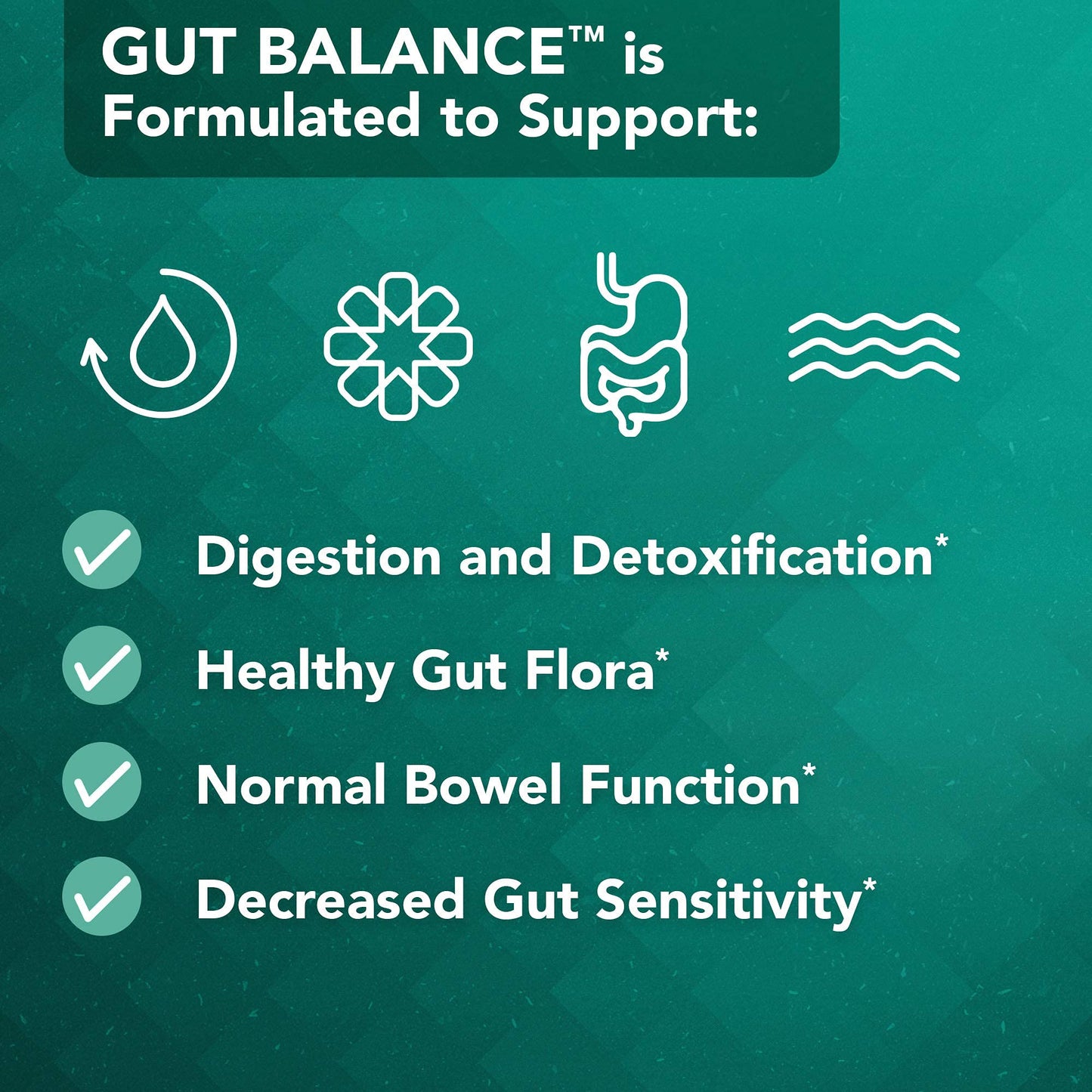 Vital Plan Gut Balance Supplement by Dr. Bill Rawls - Advanced Digestive Health Support Formula w/Clinical-Grade Slippery Elm Bark, Berberine & Dandelion Extract for Women & Men (180 Capsules) - dailyvitalstore