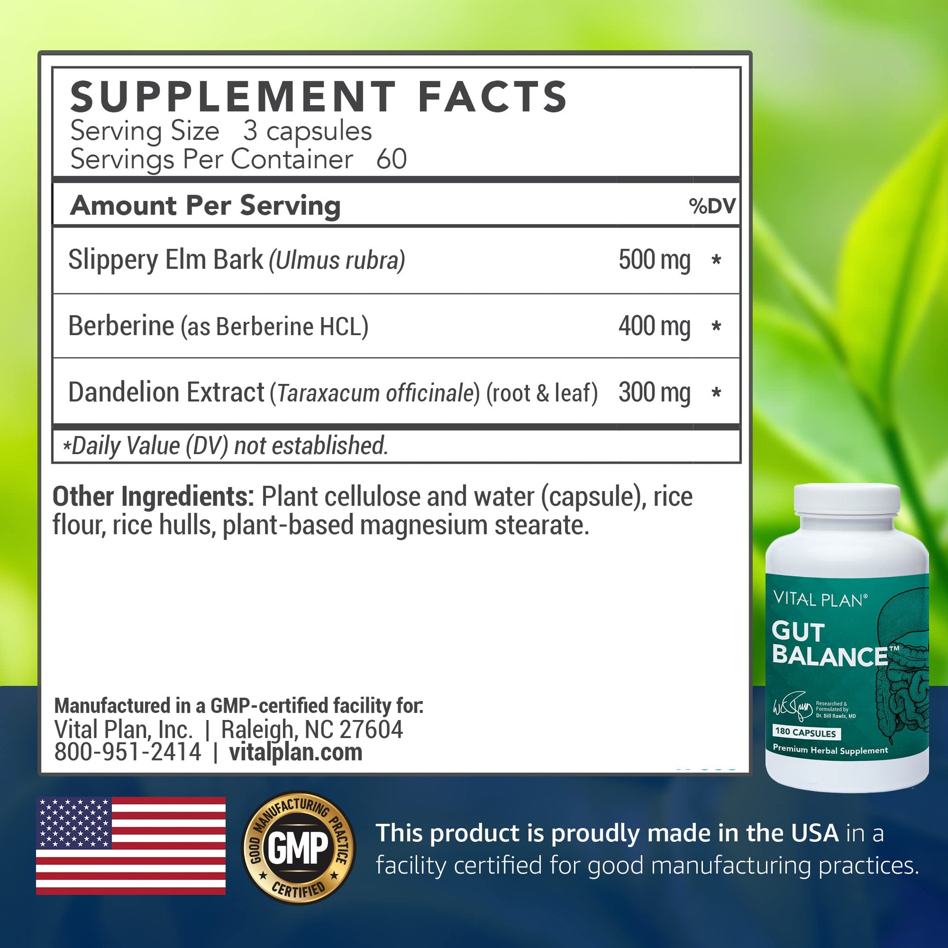Vital Plan Gut Balance Supplement by Dr. Bill Rawls - Advanced Digestive Health Support Formula w/Clinical-Grade Slippery Elm Bark, Berberine & Dandelion Extract for Women & Men (180 Capsules) - dailyvitalstore