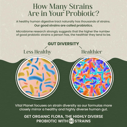 Vital Planet - Organic Flora Probiotics for Gut Health Balance, Shelf Stable Probiotic 30 Billion CFU, 60 Diverse Strains, Prebiotic Organic Mushroom Blend - dailyvitalstore