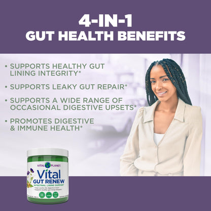 Vital Planet - Vital Gut Renew Powder Supplement for Leaky Gut Repair with L-Glutamine, Marshmallow and Ginger Root, DGL Licorice Root and Organic - dailyvitalstore