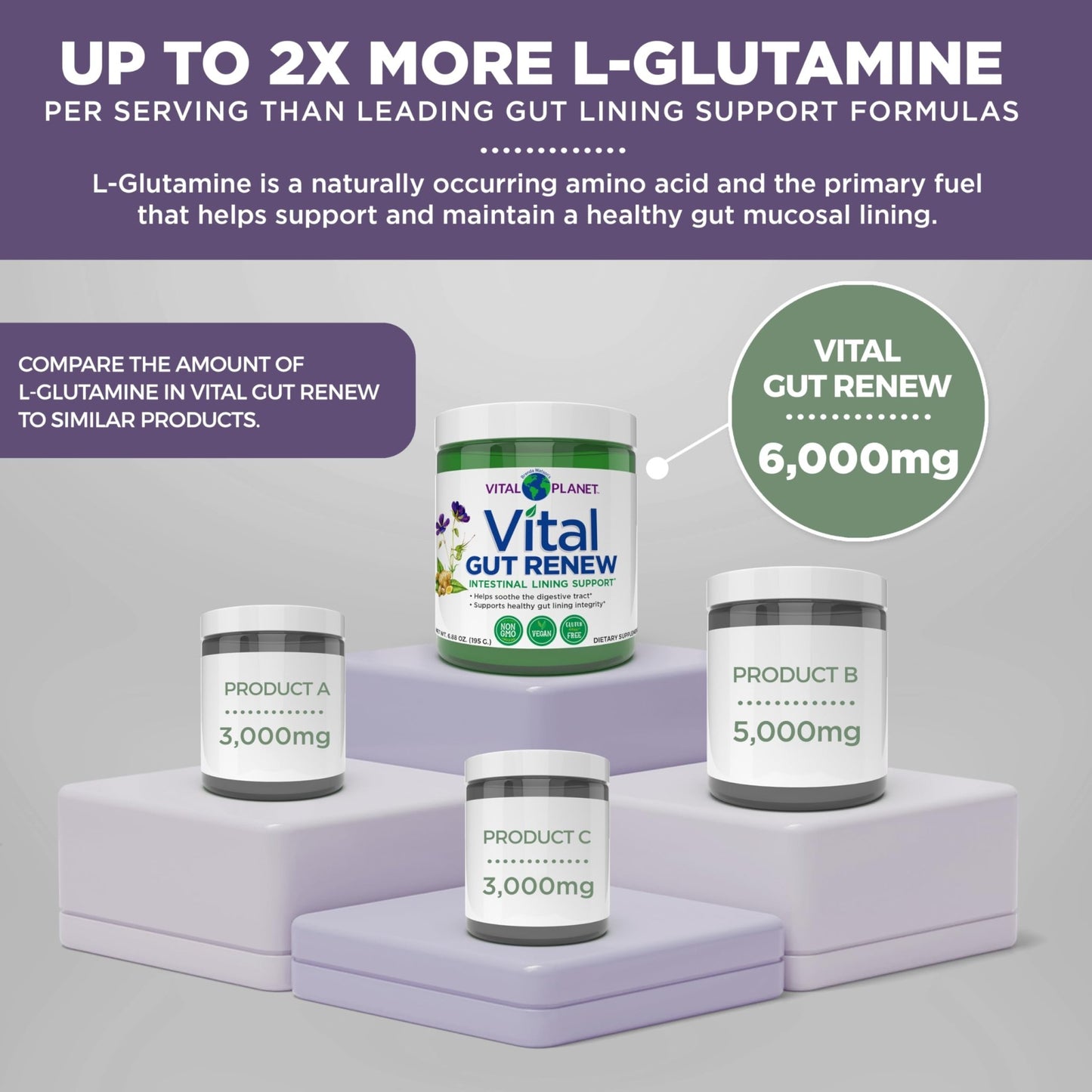 Vital Planet - Vital Gut Renew Powder Supplement for Leaky Gut Repair with L-Glutamine, Marshmallow and Ginger Root, DGL Licorice Root and Organic - dailyvitalstore