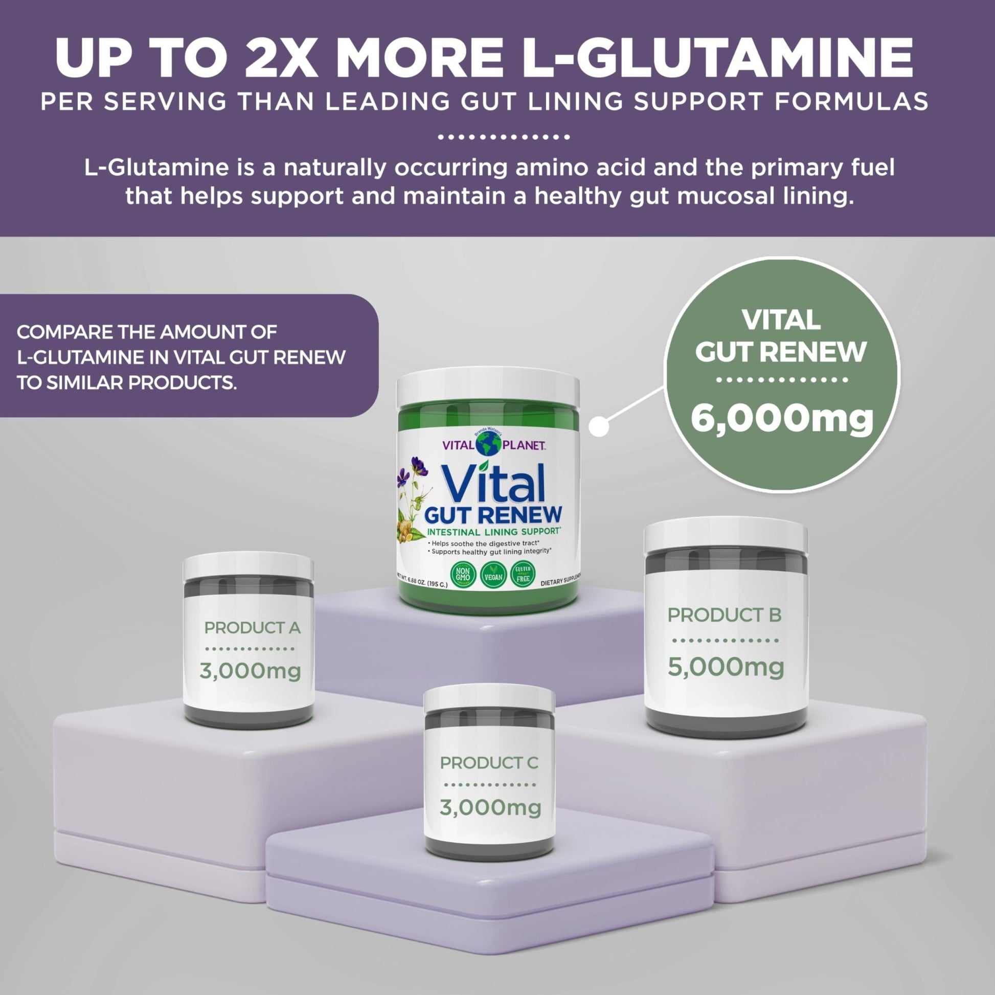Vital Planet - Vital Gut Renew Powder Supplement for Leaky Gut Repair with L-Glutamine, Marshmallow and Ginger Root, DGL Licorice Root and Organic - dailyvitalstore
