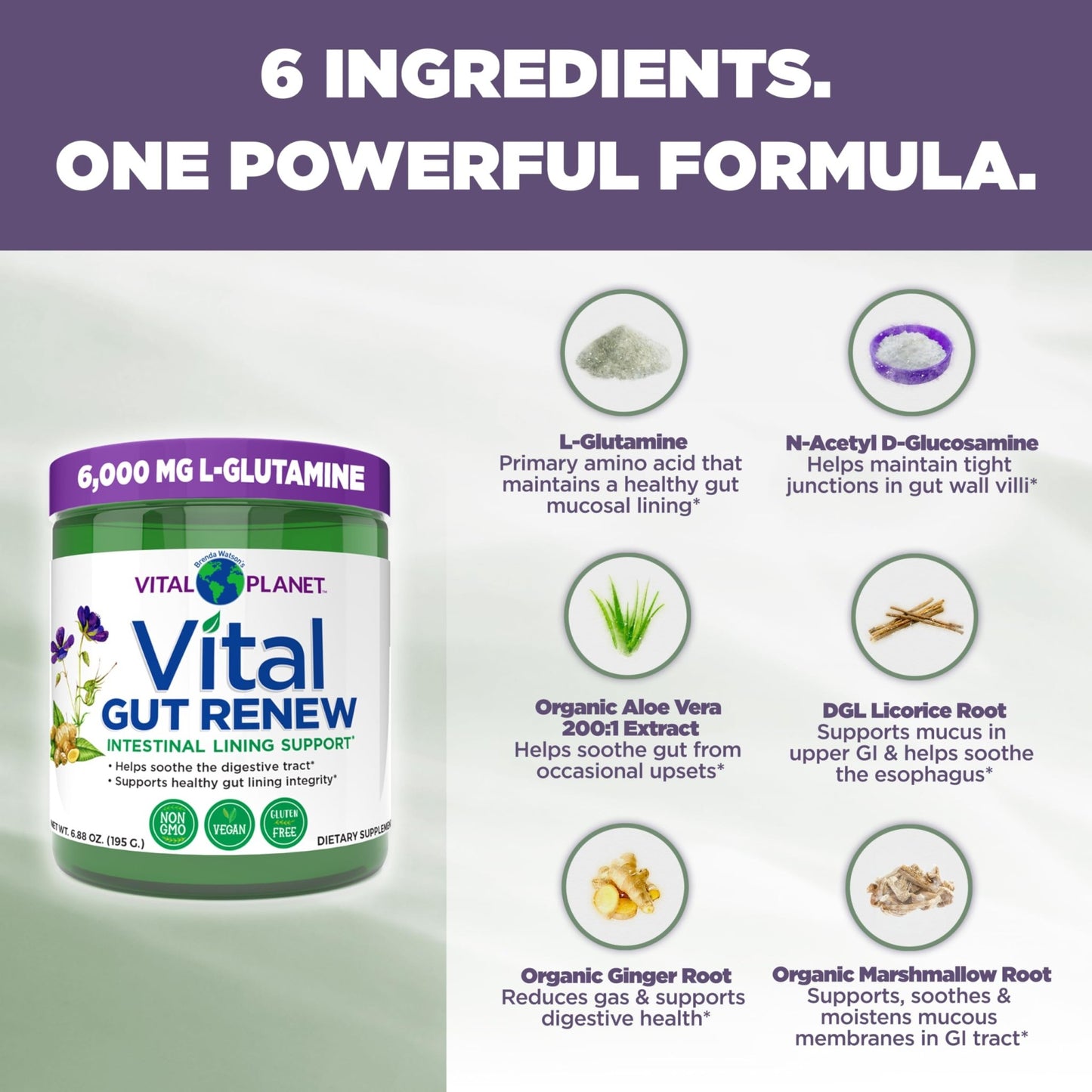 Vital Planet - Vital Gut Renew Powder Supplement for Leaky Gut Repair with L-Glutamine, Marshmallow and Ginger Root, DGL Licorice Root and Organic - dailyvitalstore