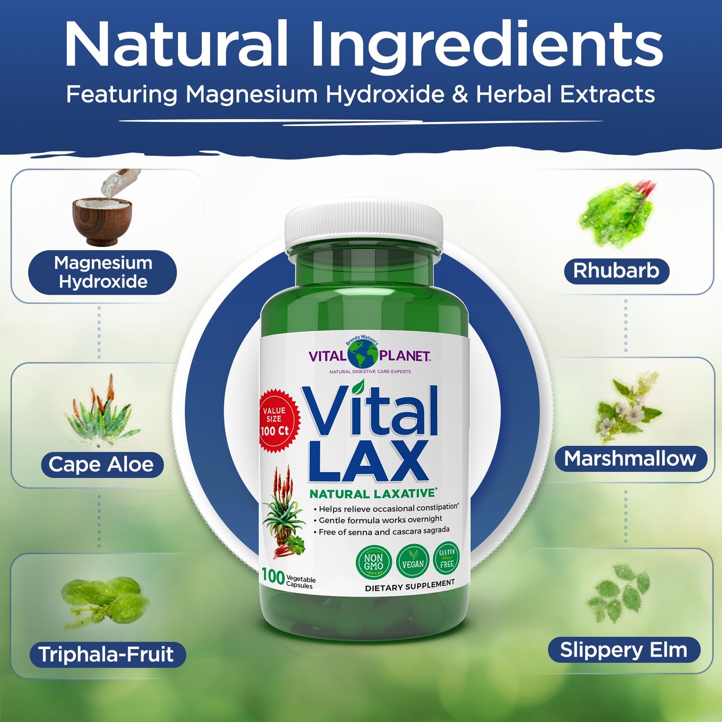Vital Planet - Vital Lax Natural Laxative Cleanse Supplement for Occasional Constipation, with Magnesium Hydroxide, Slippery Elm, Aloe, - dailyvitalstore