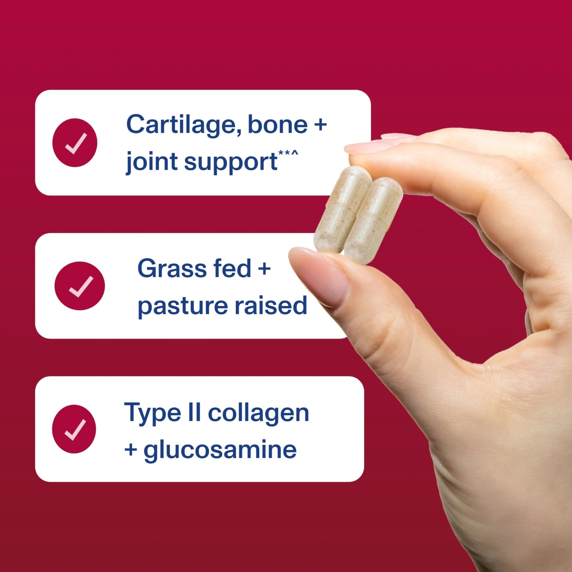 Vital Proteins Cartilage Collagen Pills, Type II Collagen & Chondroitin Sulfate Supplement for Recovery & Healthy Hair, Skin, Nails and Joints - dailyvitalstore