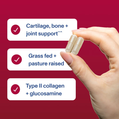 Vital Proteins Cartilage Collagen Pills, Type II Collagen & Chondroitin Sulfate Supplement for Recovery & Healthy Hair, Skin, Nails and Joints - dailyvitalstore