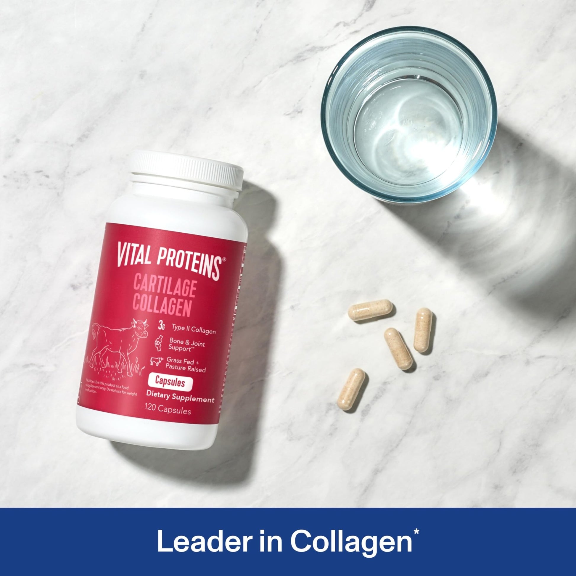 Vital Proteins Cartilage Collagen Pills, Type II Collagen & Chondroitin Sulfate Supplement for Recovery & Healthy Hair, Skin, Nails and Joints - dailyvitalstore